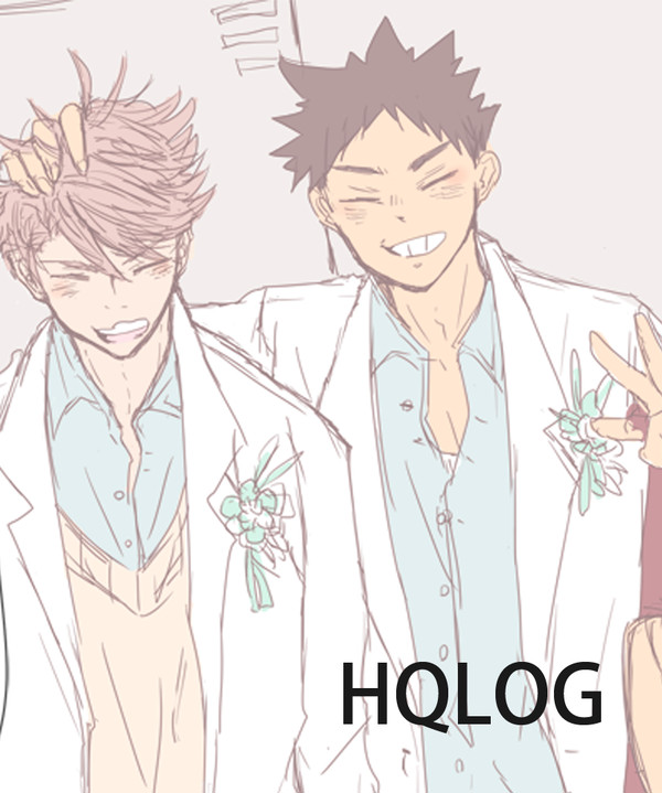 HQ LOG