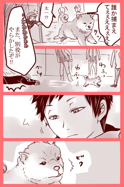 ブリーダー先輩