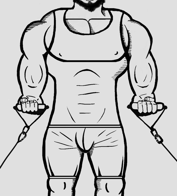 biceps training