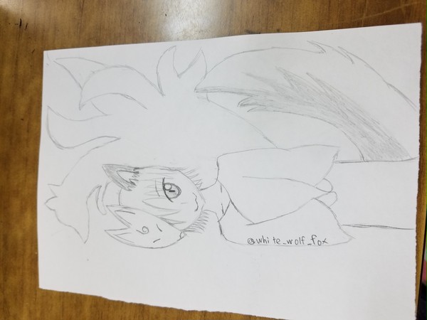 狼狐
