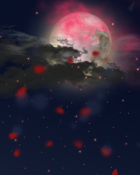 紅い月夜