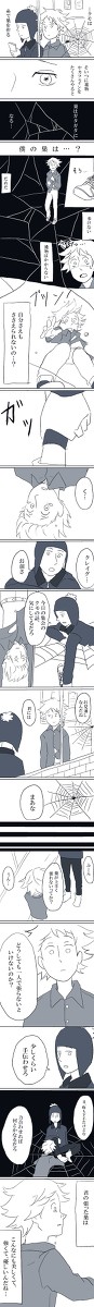 クモの巣の話