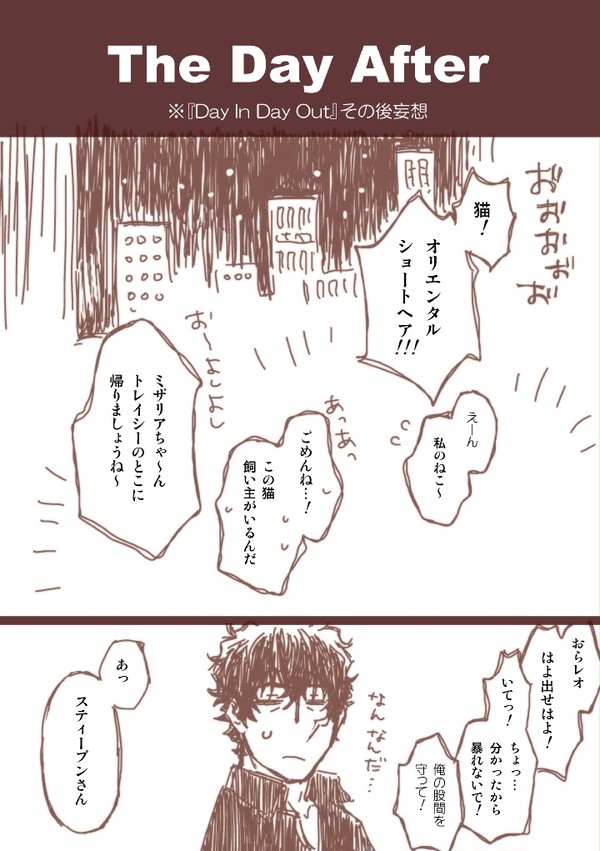 【スティレオ/チェレオ】The Day After【未満】