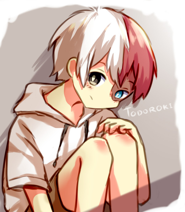 TODOROKI☆