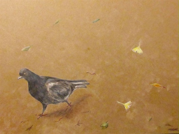 鳩とイチョウ