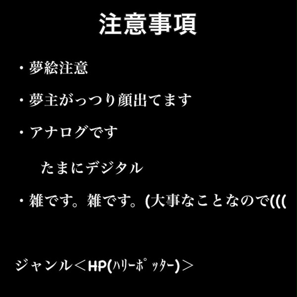 夢絵 ジャンル:HP(双子しかいない)