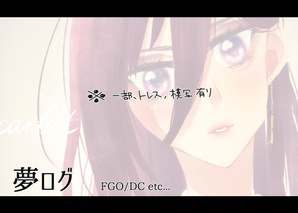 【夢主】夢ロ/グ2【注意】
