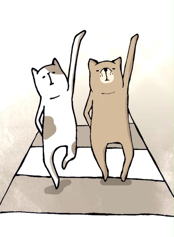 カッコよく横断歩道を渡る猫とそうではない子