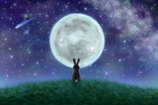 月とうさぎ🐰