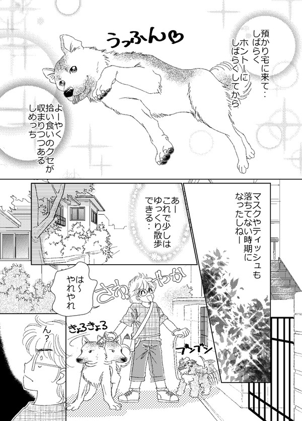 犬と暮らそう～保護犬預かり中～