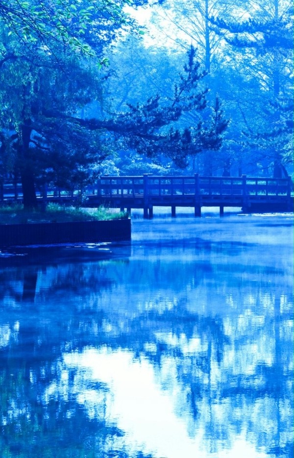 フリー素材 四季折々の水のある風景