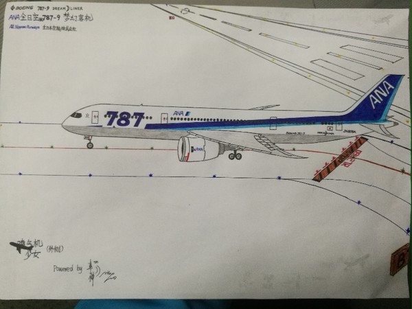 ANA 787手绘