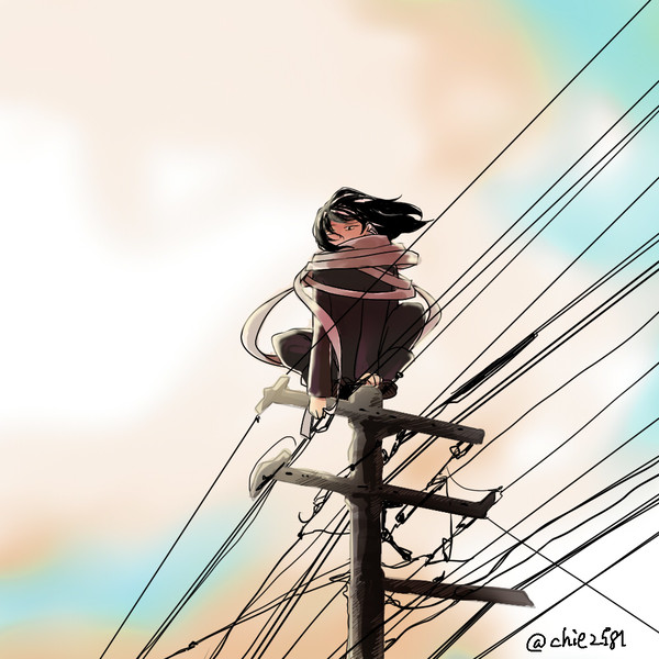 電柱