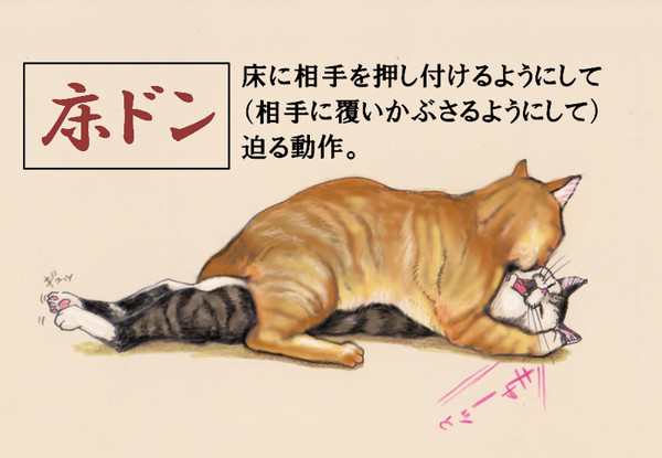 床ドン　きゃっと