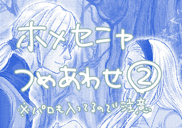 ホメセニャつめあわせ２