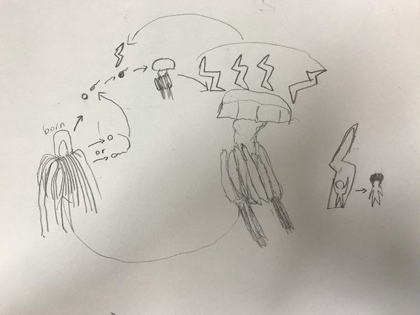 SCP-671-JP 電気くらげの夜