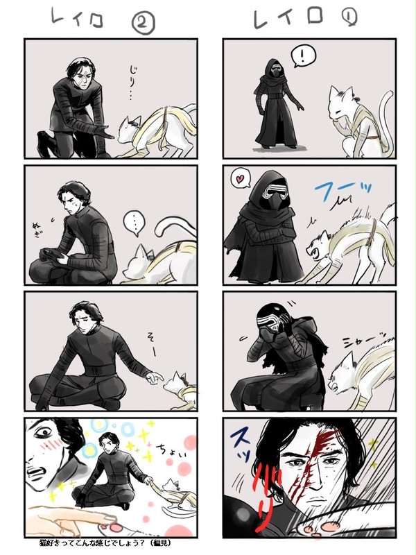 【最後のジェダイネタ】レイロ詰め