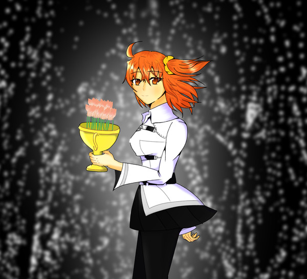ロマぐだ♀とかソロぐだ♀とか中心のまとめ2017