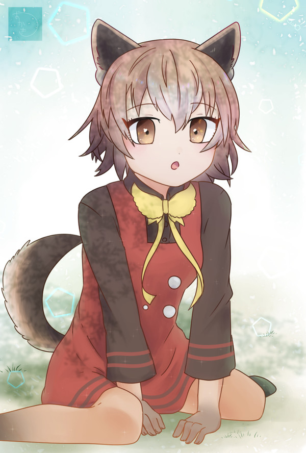 しんはっけ～ん