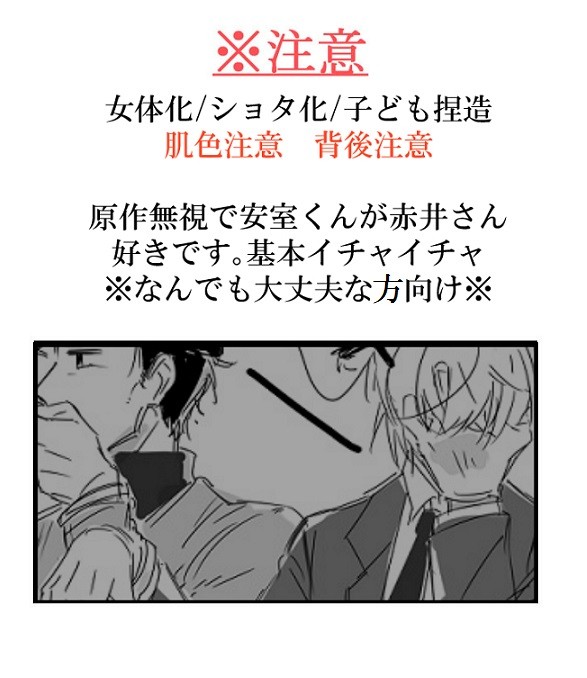[DC腐]安赤　rkgklog④