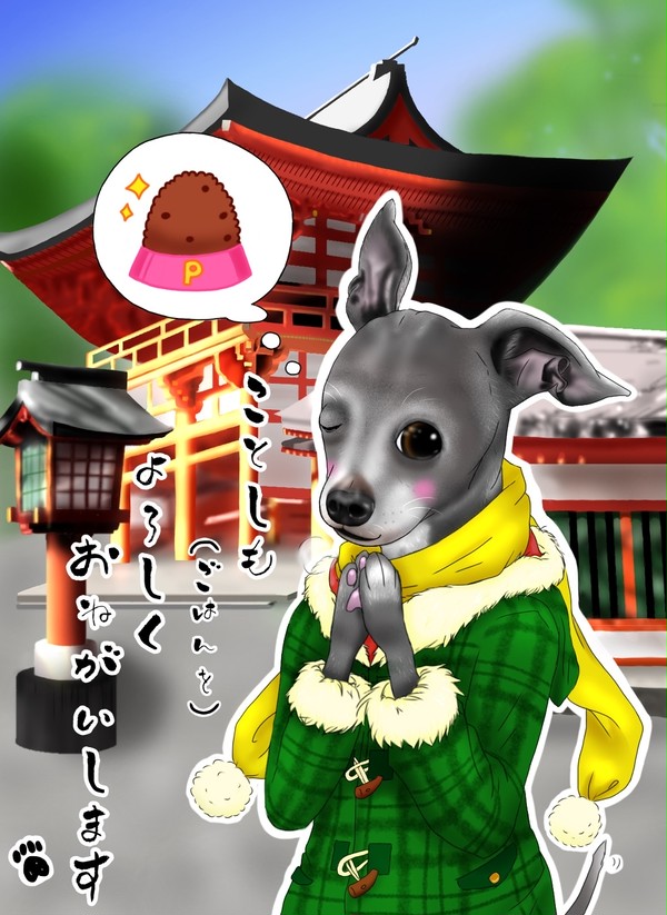 イタグレちゃんの、今年もよろしく