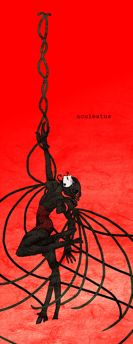 aculeatus
