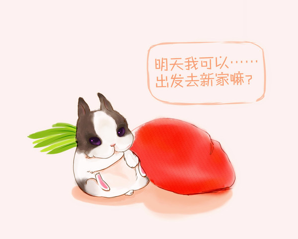 兔兔
