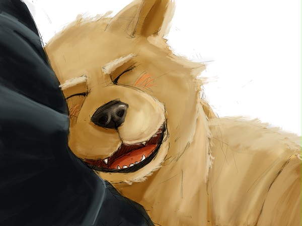 甘える犬