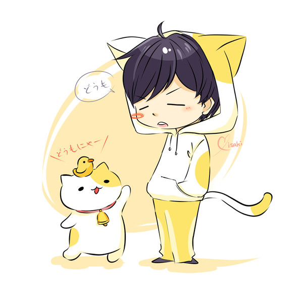 みっちりねこ