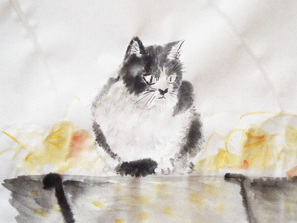 猫