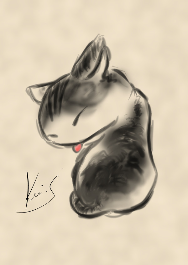 キジシロにゃん