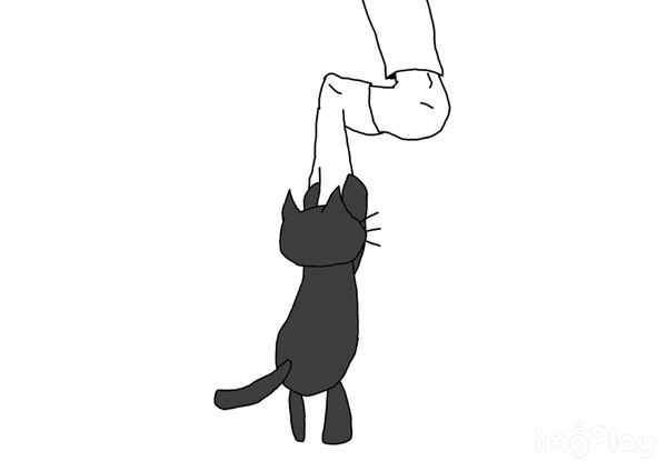 キヨとキヨ猫