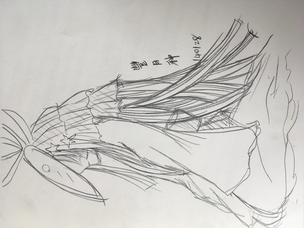 夏目友人帳