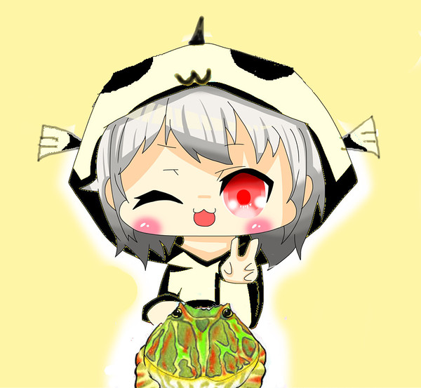 拾い画寄せ集め