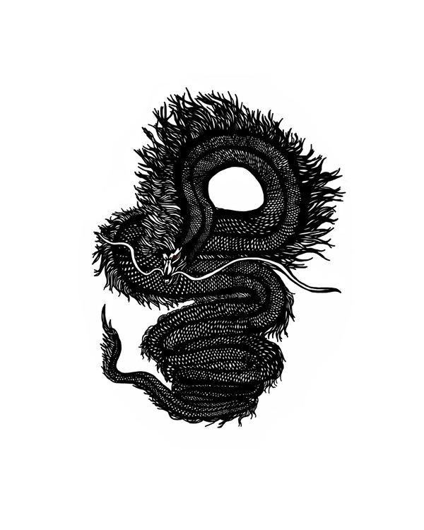黒い竜