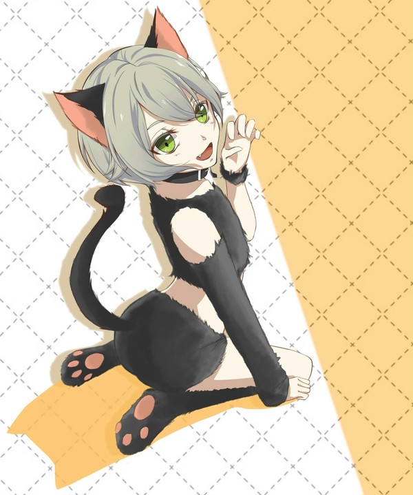 蛍丸ネコ