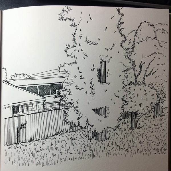 Trees & House Sketch