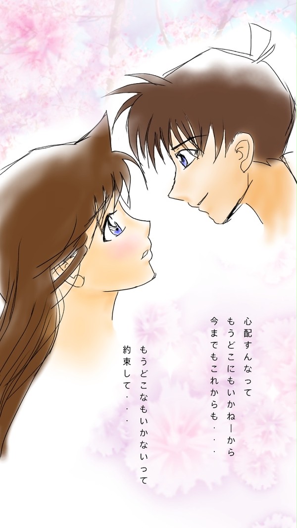 新蘭