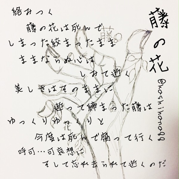藤の花