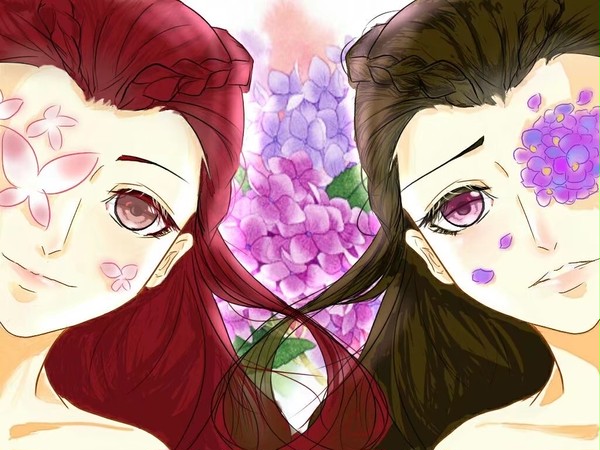 蝶与紫阳/Butterfly and Hydrangea