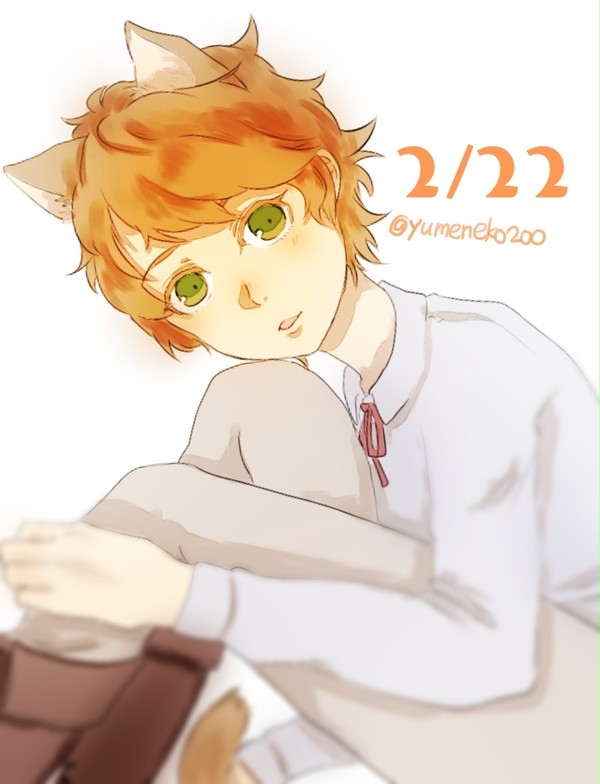 (※猫耳注意)2月22日24時43分