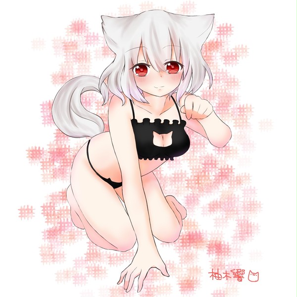 猫の日椛ちゃん