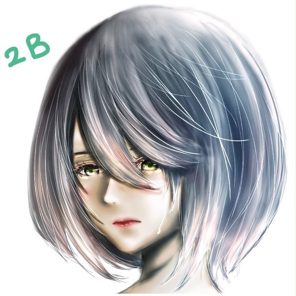 2Bを描きたかったんです(^^;