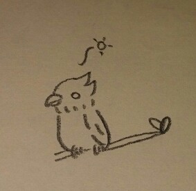 インコです