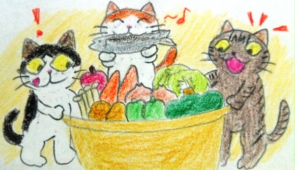 八百屋猫