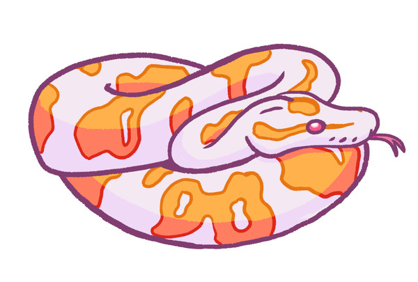 Snake