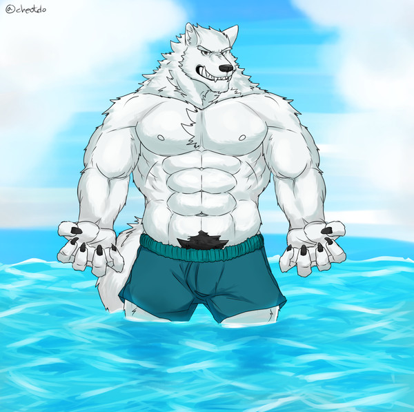 beach wolf