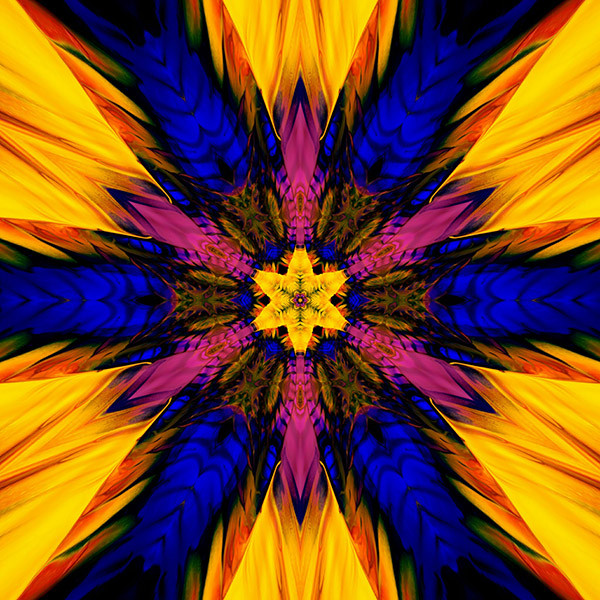 Star