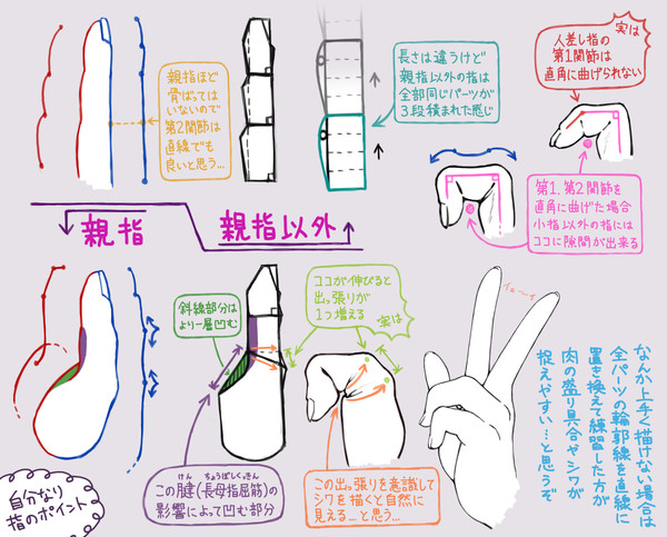 自分なりの指ポイント(側面のみ) - 1/1