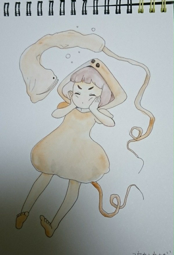 フウセンウナギ